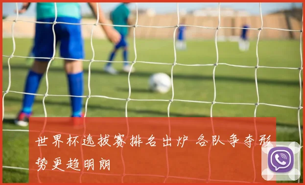 世界杯选拔赛排名出炉 各队争夺形势更趋明朗